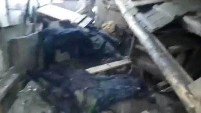 Дедушка Матвей!Условия для животных (сараи) смотреть онлайн