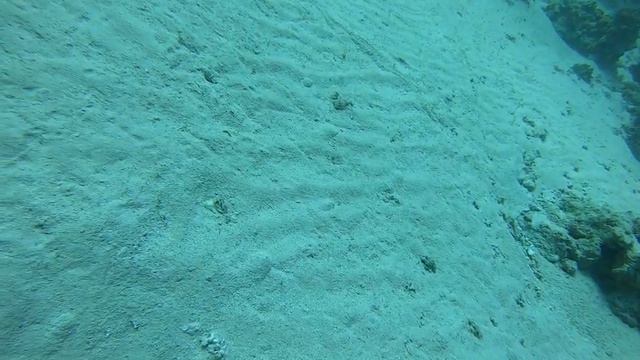 И снова дайвинг в любимых местах Египта.Шарм эль Шейх.Апрель2021 смотреть онлайн