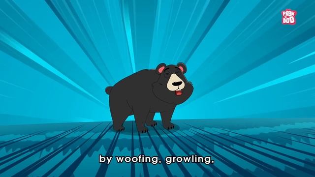 What If You Were Attacked By A Bear? | Bear Attack | The Dr Binocs Show | Peekaboo Kidz смотреть онлайн