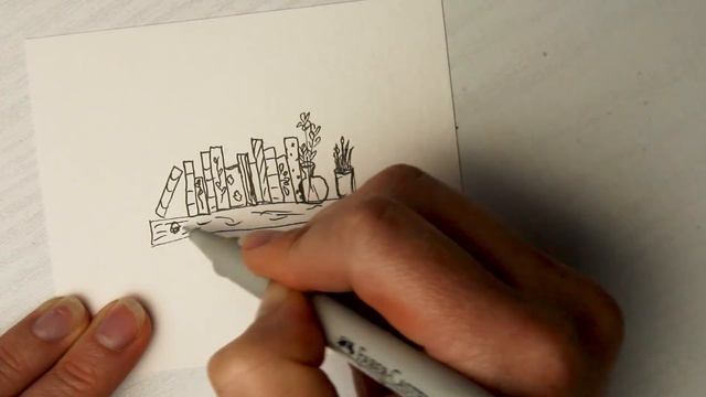 полка с книгами смотреть онлайн