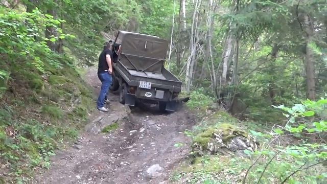 Haflinger Puch 2018 Suisse смотреть онлайн
