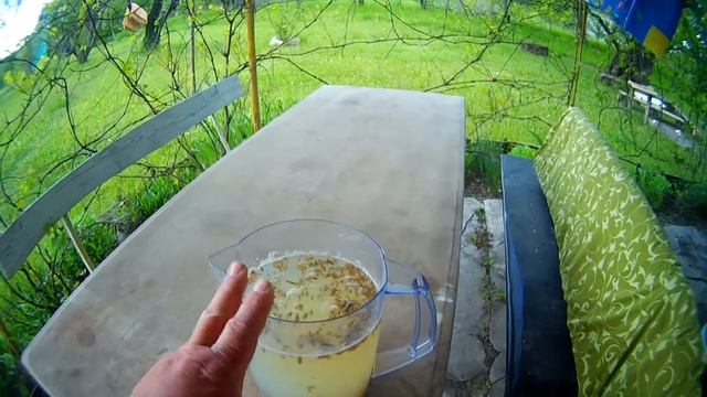 КВАС ИЗ ОВСА 2часть. ОВЁСНЫЙ КВАС. KVASS FROM OATS-2 смотреть онлайн
