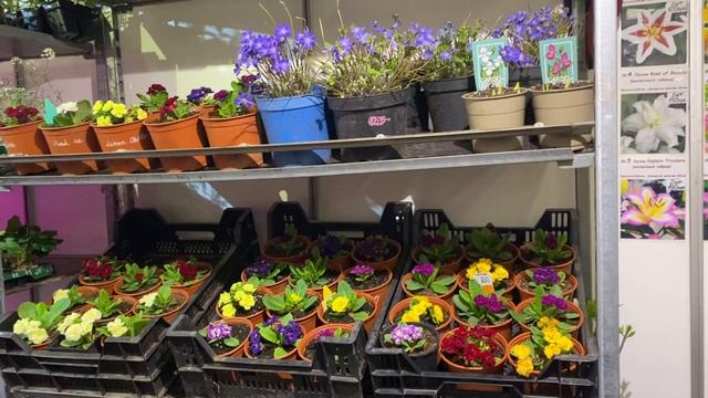 Добро пожаловать на ярмарку "Ландшафт и быт усадьбы" с 26-30 апреля смотреть онлайн