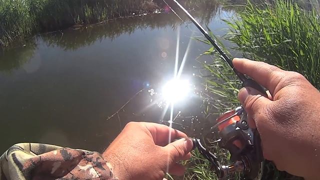 Карась на спиннинг Ловля на микроречке смотреть онлайн