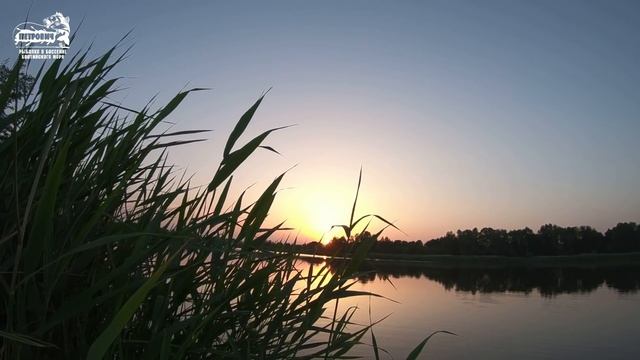 БОЛЬШОЙ УЛОВ VLOG: Судак на малька. Июнь 2019. смотреть онлайн