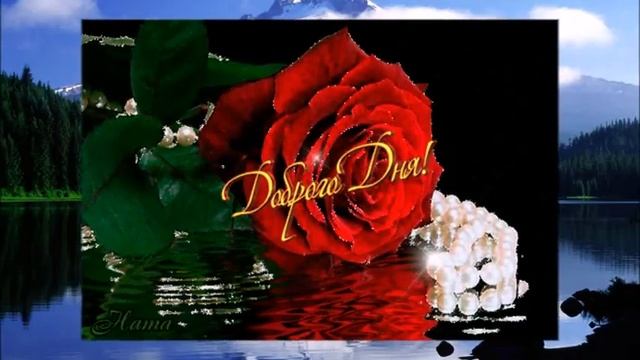 Добрый день моя милая