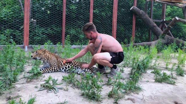 Саша вычесывает Цезаря смотреть онлайн