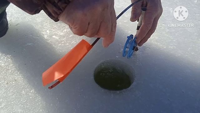 Рыбалка на флажки. (С днем святого Трифона) смотреть онлайн