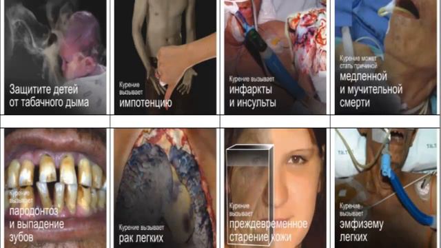 Почему люди курят сигареты даже под страхом смерти смотреть онлайн