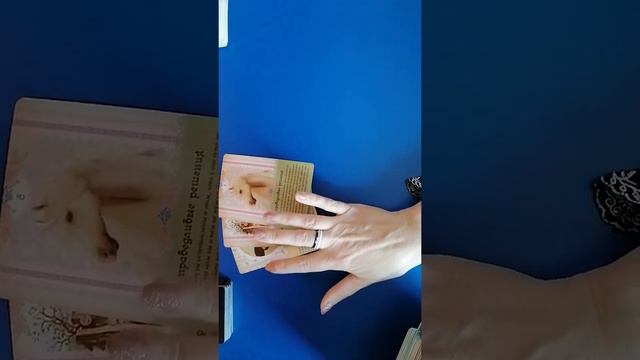 ответы на вопрос ватцап 895 35 88 35 40 смотреть онлайн