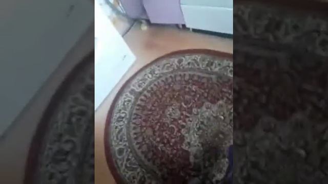 Готовим пиццу с моей бабушкой Таней песня от моей бабушке вы увидите там рецепт Не пропустите видео смотреть онлайн