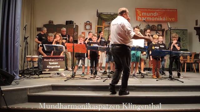 mundharmonikalive16 - Im Walfisch, Do,15.09.16 (3) смотреть онлайн