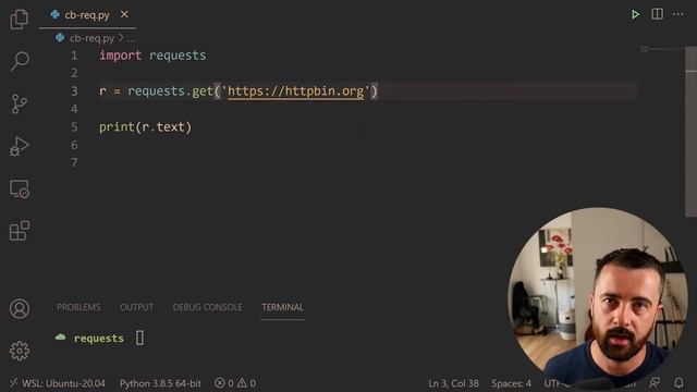 Python requests – Python tutorial magyar felirattal – CodeBerry Programozóiskola смотреть онлайн