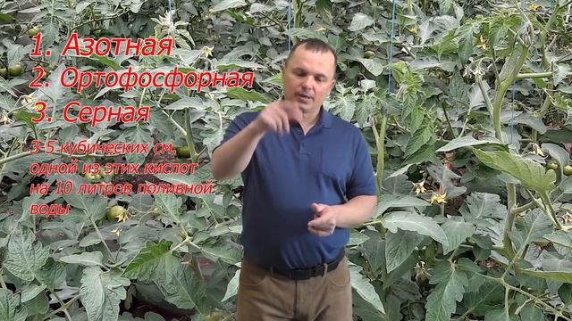 Все растения станут вмиг изумрудно-зелёными. Всегда так делаем! смотреть онлайн