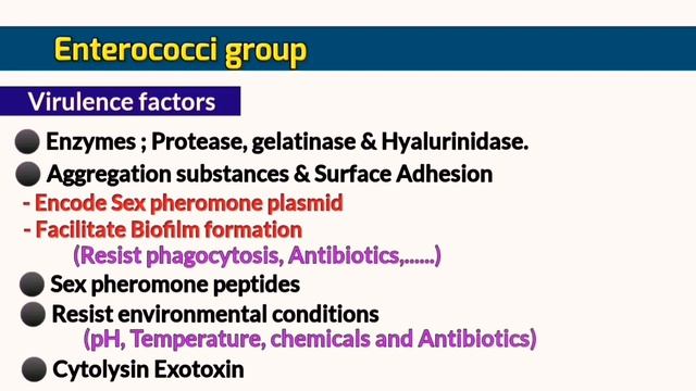 Enterococci : Enterococcus faecalis and E. faecium (English) - Medical Microbiology смотреть онлайн