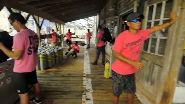 2016 Stuart Cove's Dive Bahamas #MannequinChallenge смотреть онлайн