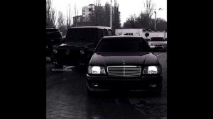 KAVKAZ STYLE  (?????? × ??????)