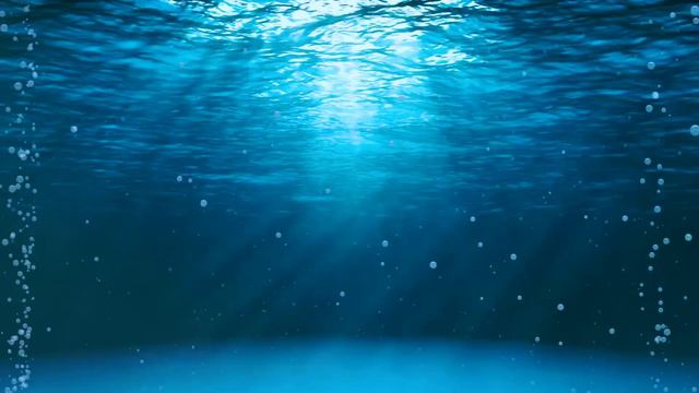 [NEW] Stunning 4K Underwater footage - Rare & Colorful Sea Life Video - Ocean Sounds to Sleep, Rela смотреть онлайн