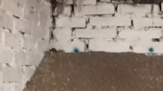 Мышиный рай. смотреть онлайн