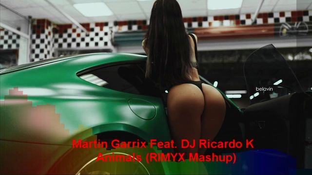 Martin Garrix Feat. DJ Ricardo K - Animals (RIMYX Mashup)