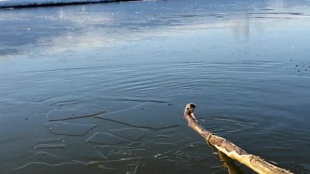 Рыбалка на живца на реке смотреть онлайн