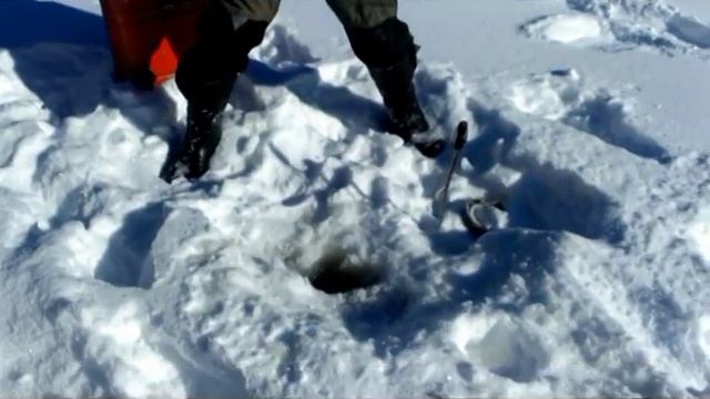 Ловим хариуса зимой смотреть онлайн