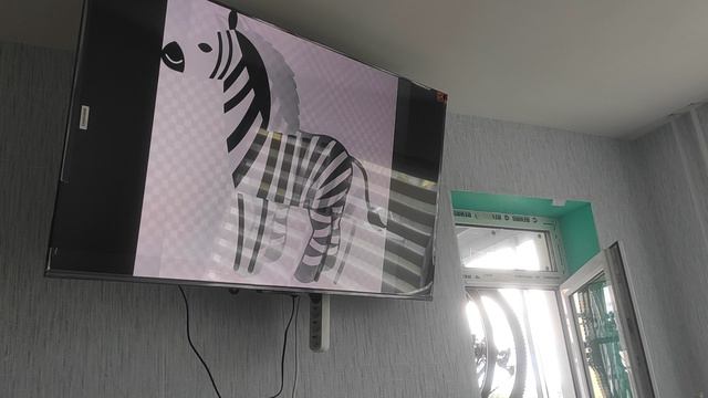 VID_20240611_135214.mp4