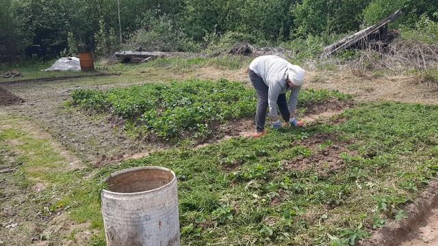 ЧИСТИМ УЧАСТОК.... смотреть онлайн