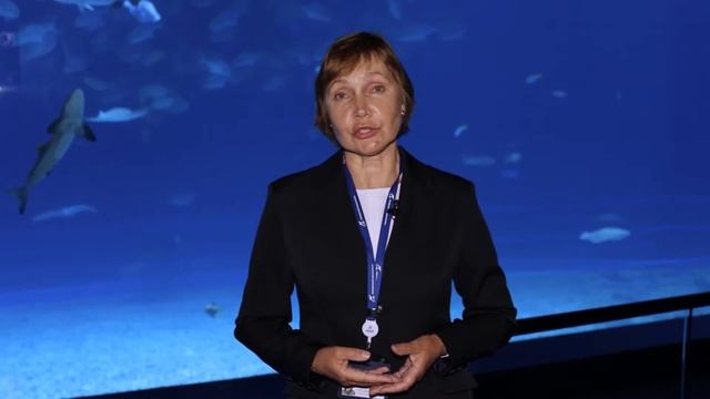 «Минута науки»: как спят рыбы смотреть онлайн