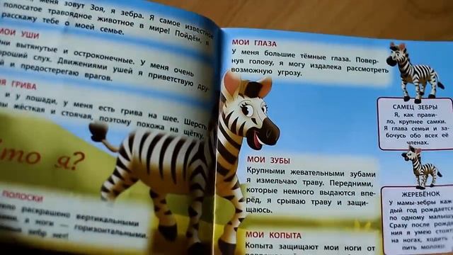 Животные дикой природы № 6, 7, 8 и 9. Журналы и игрушки смотреть онлайн