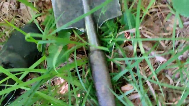 Нашел разрушенную старую постройку в глухом лесу!!! смотреть онлайн