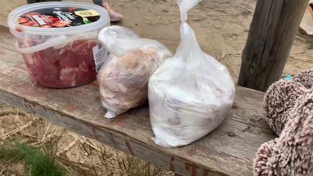 Шашлыки. Друзья и змеи.