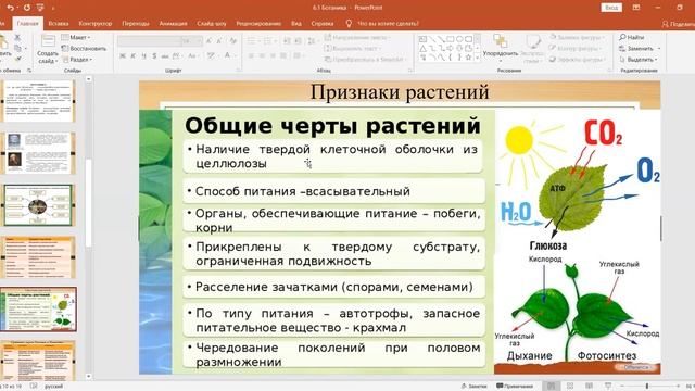 Ботаника как наука (Биология - 6, урок 1) смотреть онлайн