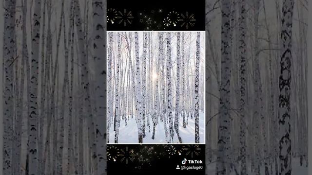 Берёзы зимой. смотреть онлайн