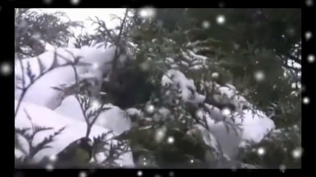"Порочная вьюга" Слова Ларисы Неводничик. Исполняет автор. смотреть онлайн
