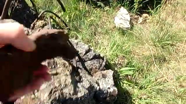 Взорванный ДОТ,рядом блиндаж. 2.07.2015 года смотреть онлайн