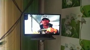 Телевизор Asano диагональ 60 сантиметров (24LH1110T)