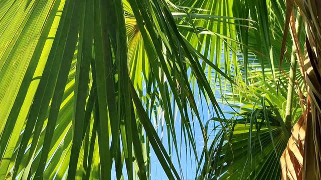 Море и горы, турецкий Relax смотреть онлайн