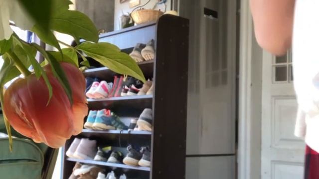 Магия моего Утра ? ПЕКУ ХЛЕБ НА ЗАКВАСКЕ смотреть онлайн