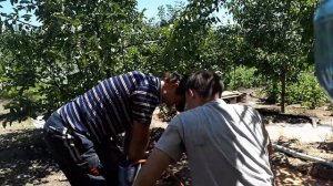 Водоносный слой!Признаки водоносного слоя?Бурение, скважина, как найти водоносный слой?