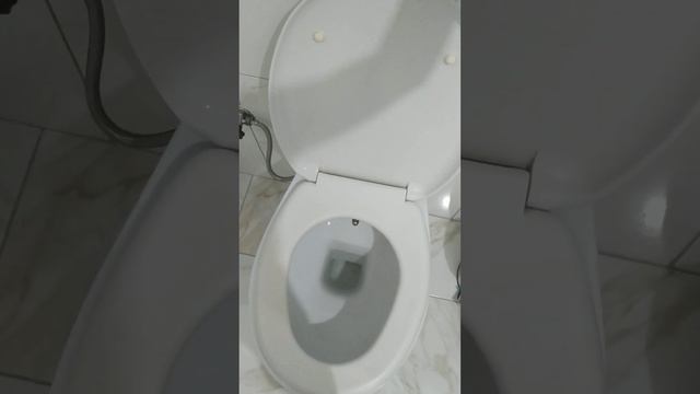 Смыв туалета смотреть онлайн