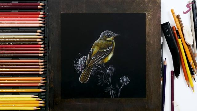 Марафон «На старт, внимание, май!» 5.Птичка смотреть онлайн