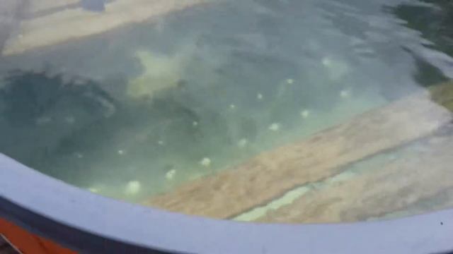 Нагреваем воду водонагревателем М-100 (MADE) 3 часть смотреть онлайн