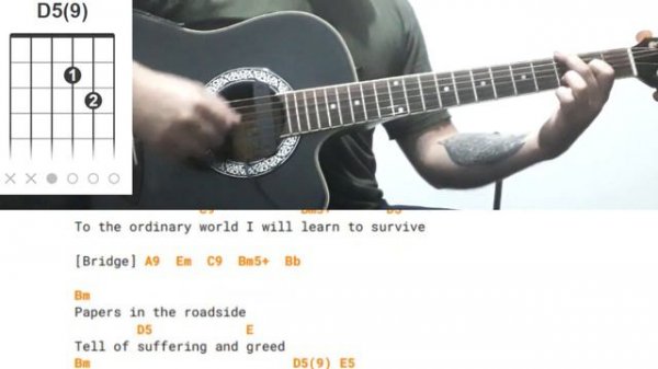 Duran Duran - Ordinary World ( lower key acoustic guitar lesson )