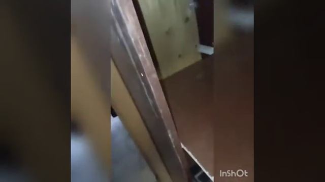 делаем прихожую смотреть онлайн