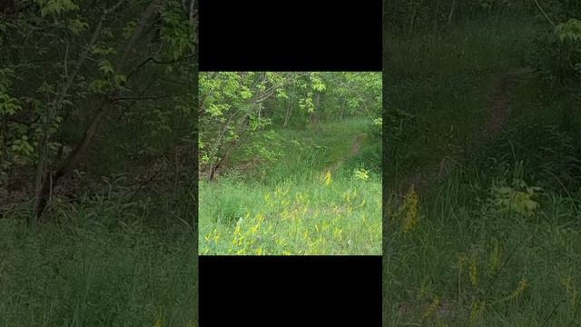 Кто сказал, что любить друзьям нельзя? ( ааа или путешествие в одиночку. Люблю.) смотреть онлайн