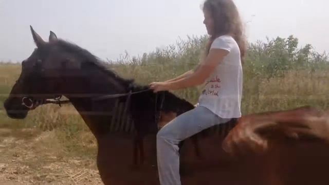 Первая рысь без седла