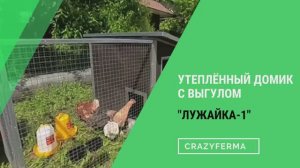 Компактный Утепленный Курятник с выгулом _Лужайка_, вместимостью до 10 кур