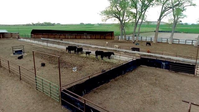 Wind River Farm for sale in Wyoming смотреть онлайн