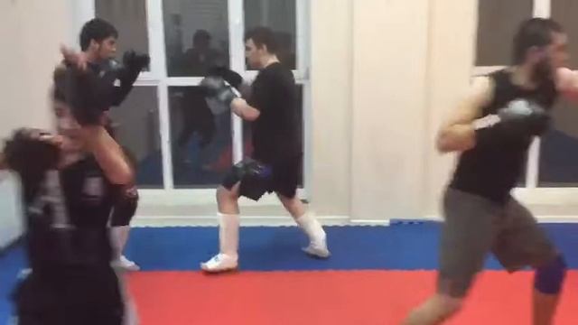 Марсей дмитров смотреть онлайн